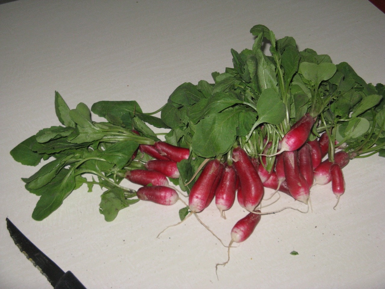 séparer les racines et les fanes